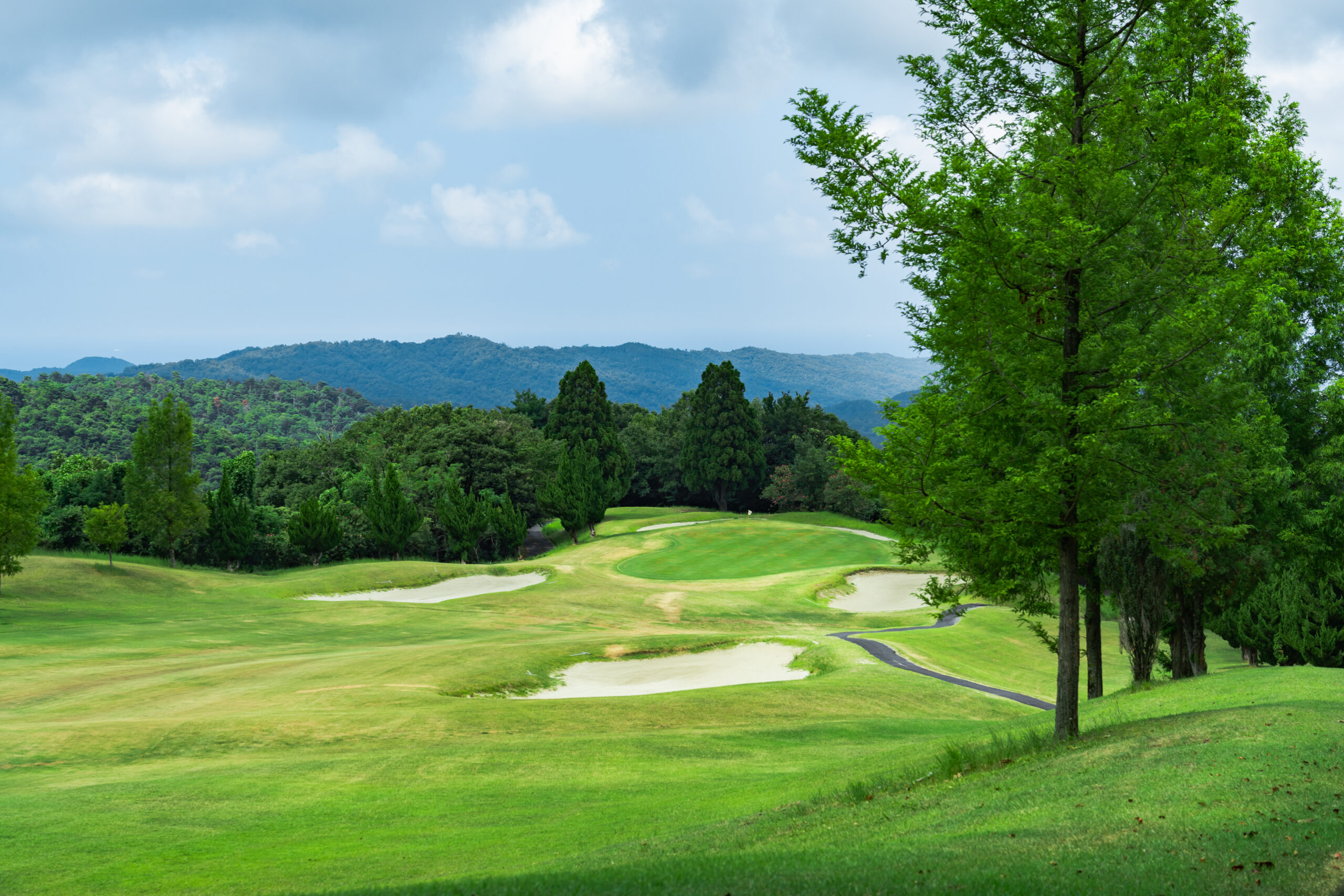Hole 1 Image