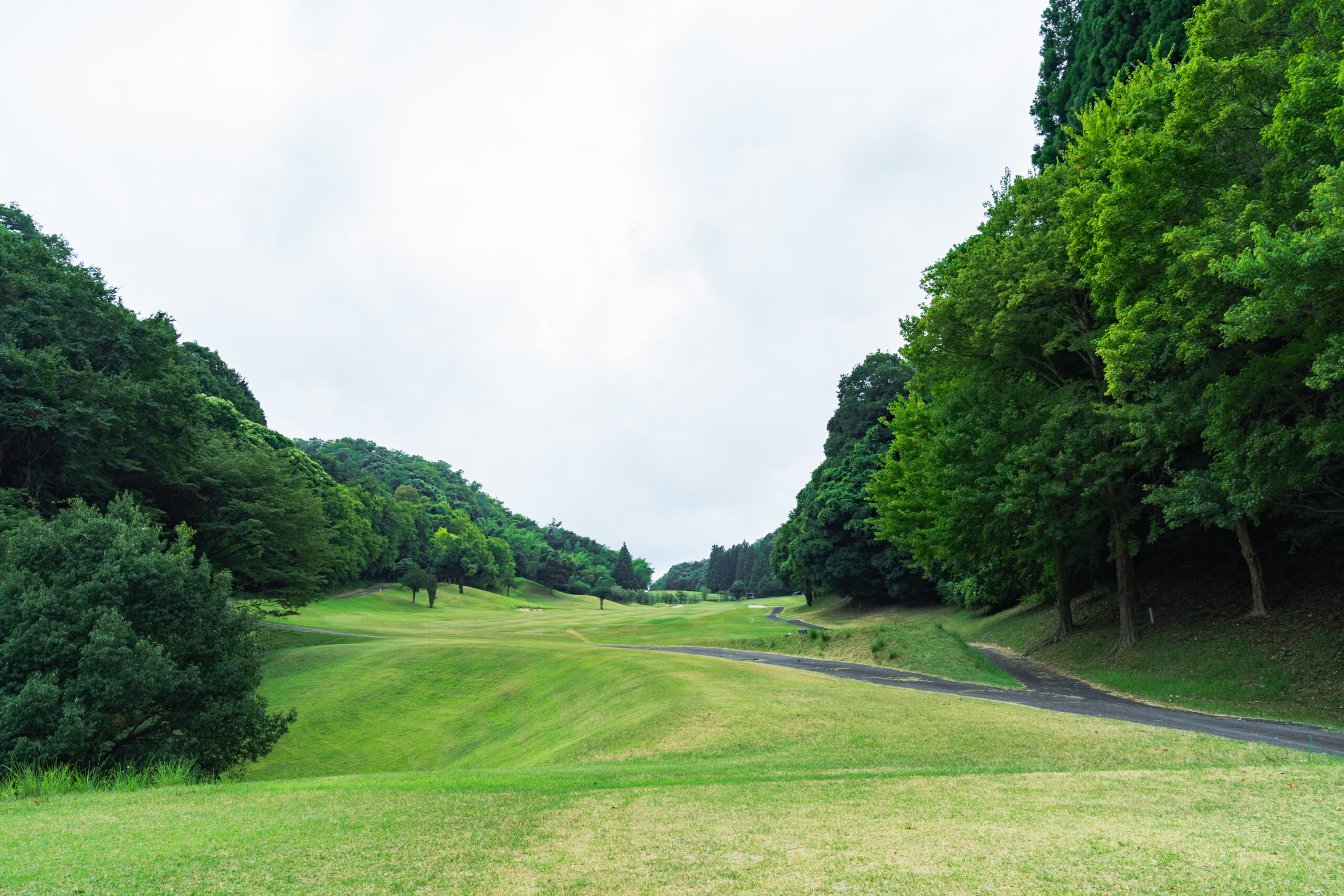 Hole 6 Image