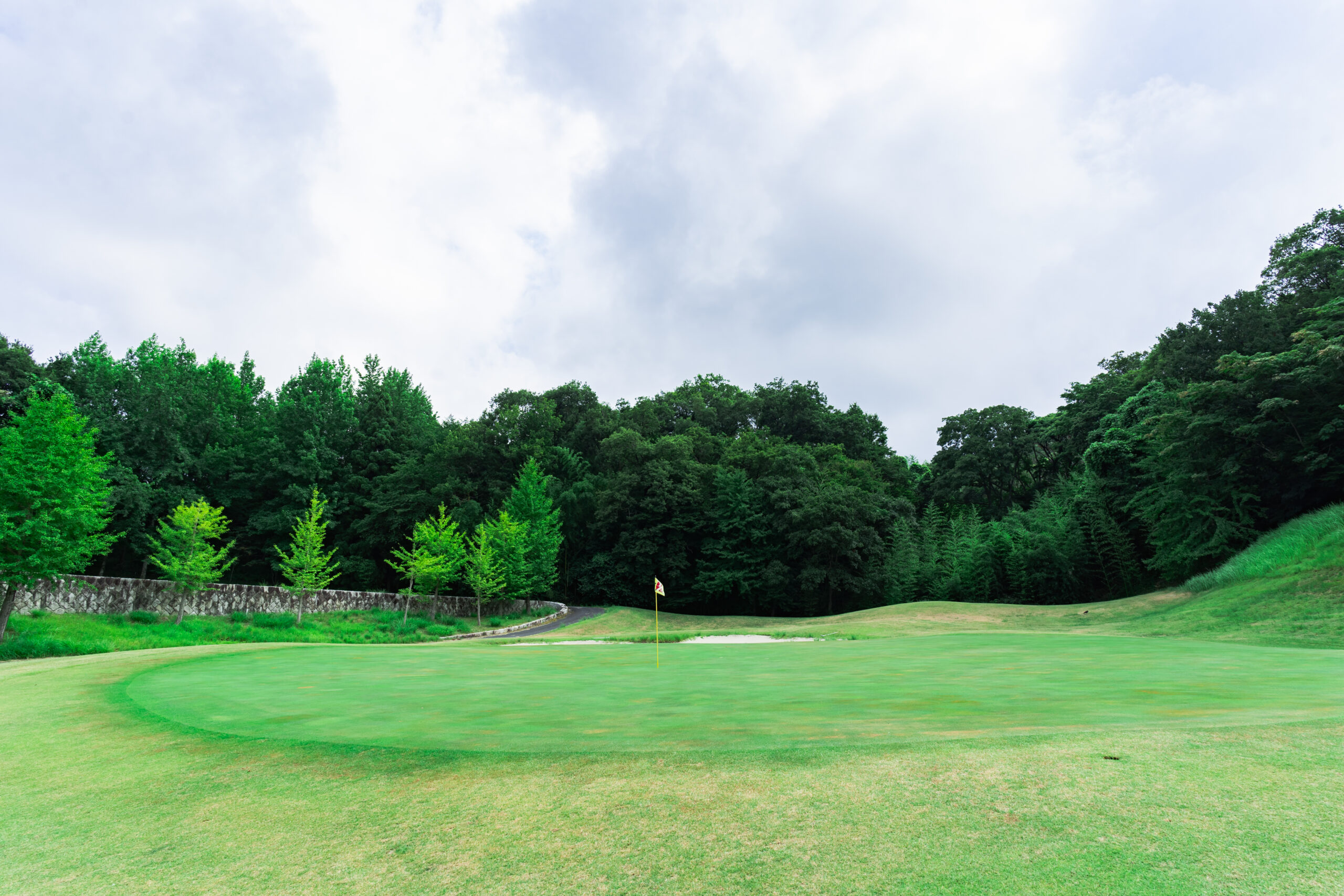 Hole 8 Image