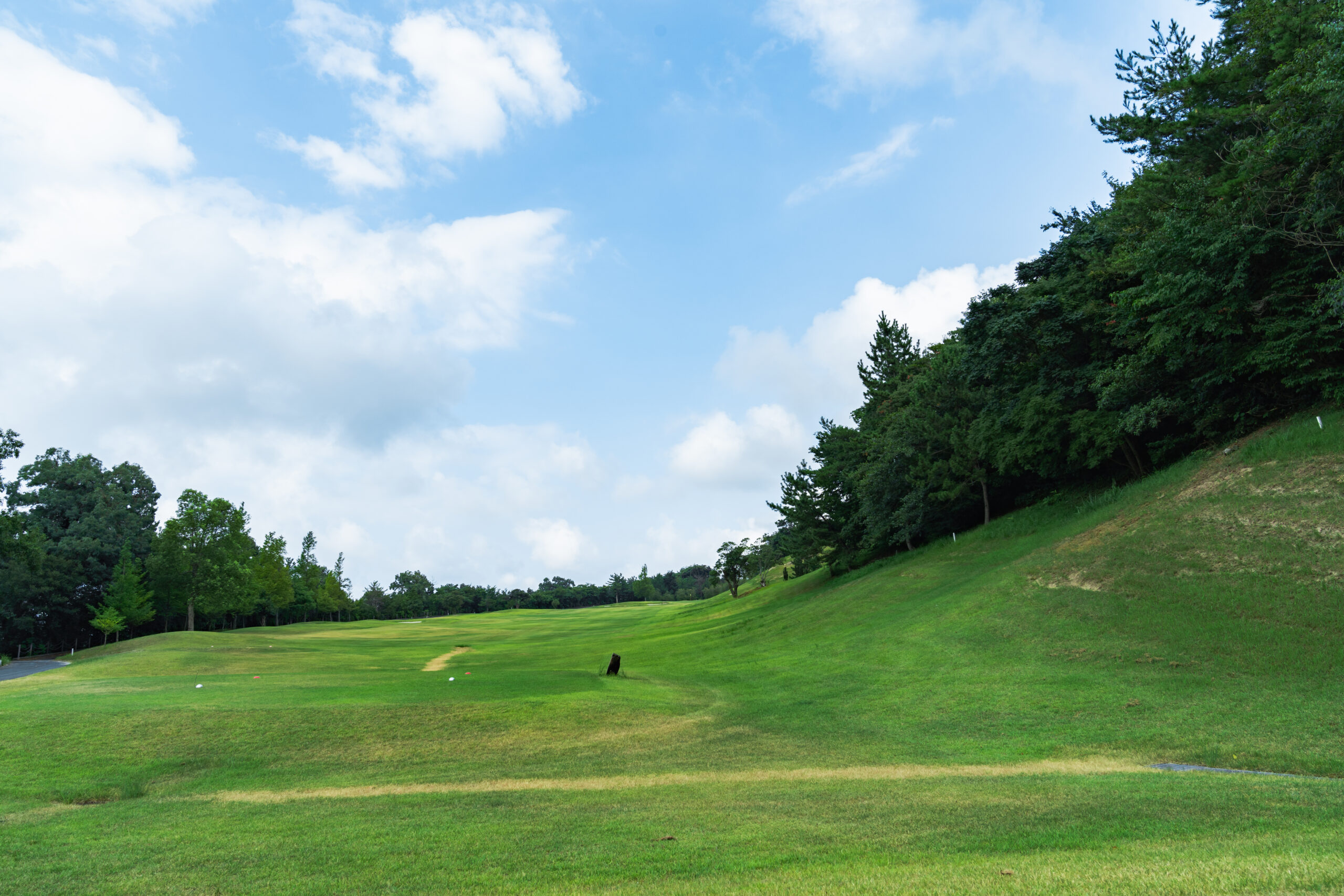 Hole 9 Image